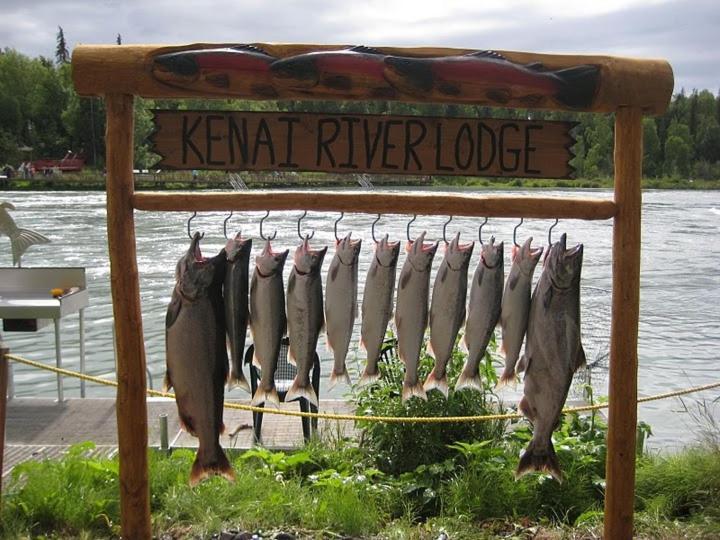 Kenai River Lodge Soldotna Bagian luar foto